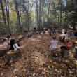 students sit on tree stumps