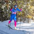Nordic skier