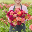 Create Spectacular Aumtumn Color in Your Garden