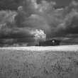 black and white photograph