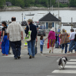 Parade participants head to the Belfast Has Pride after-party at Heritage Park. (photo by Erica Thoms)