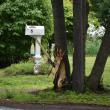 tree damage