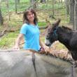 Rebecca Loveland owner of Downeast Donkey Walks with Kota and Ed. Photo by Kay Stephens