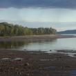 shoreline