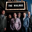 The Walrus band