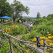 people enter a garden