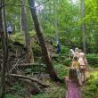 children walk up a trail