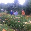 adults stand in a flower garden