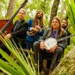 The Henhouse Prowlers. Opera House. July 29. Got tickets? Photo: Stephanie Heath