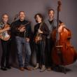 four adult males and their string instruments