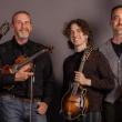 four men hold string instruments