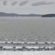 gray ocean tides