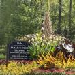 The Sarah P. Duke Gardens at Duke University in Durham, North Carolina provides a popular respite for visitors from around the world and, according to eBird, 148 bird species have been recorded there. Courtesy of Allison Wells
