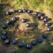 round orbs in spiral shape