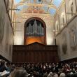 church organ pipes