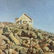 house on the rocks