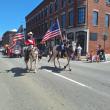 horses