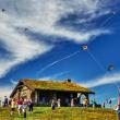 families and kites 