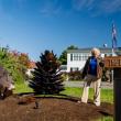 woman, lectern, two pine cone sculptures