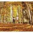 Fall Walk Photo from Metro