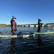 witches stand on paddle boards