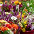 flowers up close