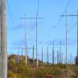 powerlines overhead
