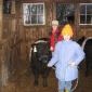 Aldemere farm