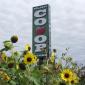 Co-op 