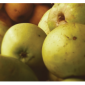 heritage Maine apples
