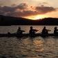 rowing