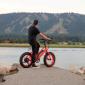 The Element is the ultimate value. It delivers Pedego quality with local service for an affordable price. ebike, electricbike, electric_bike, electric_vehicles, pedego, pedego boothbay harbor, maine, boothbay harbor