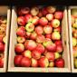 Fresh Local Apples!