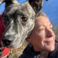 dog walking