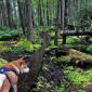 Dog hiking 