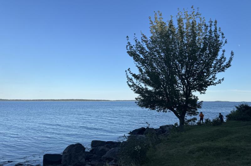 Bay