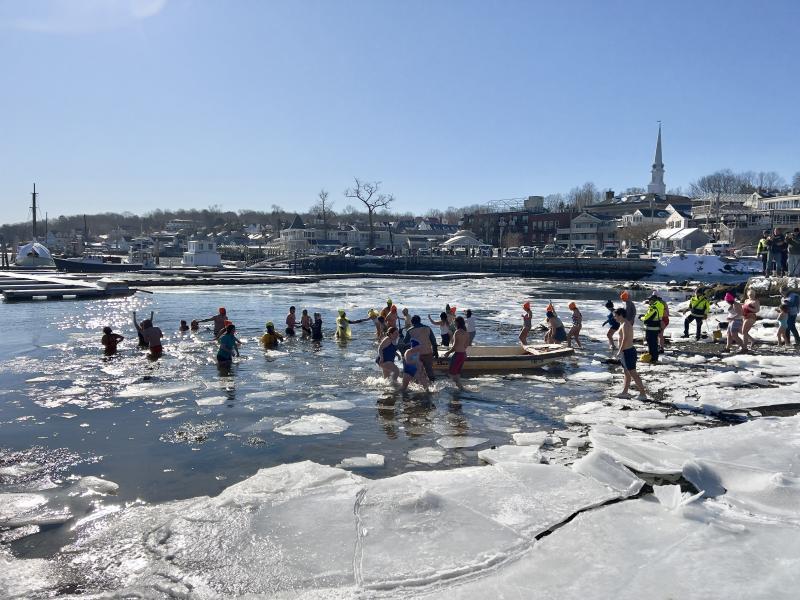 Polar plunge