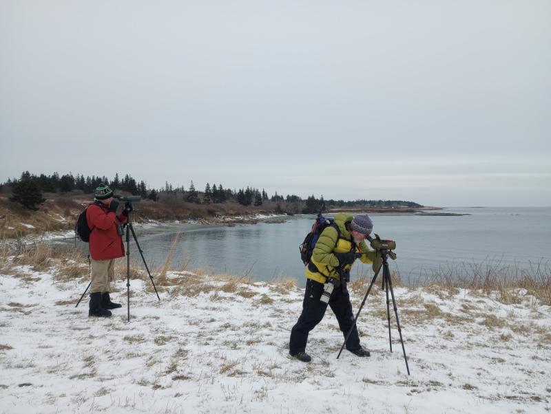 Jeff Wells and another birder scoping for sea ducks and loons on the Matinicus Island Christmas Bird Count. Courtesy of Bethany Woodworth.