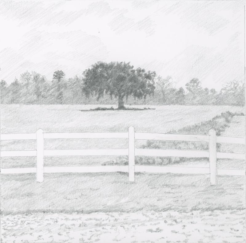 South Carolina (Drawing by Rick Cronin)