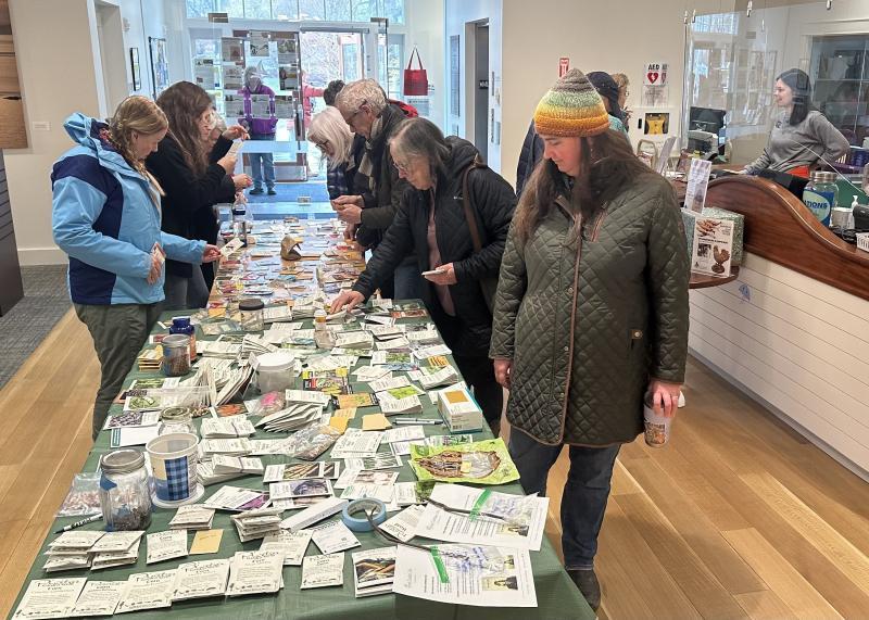 Browsing the free seed packets from last year. Photo courtesy Rockport Public Library