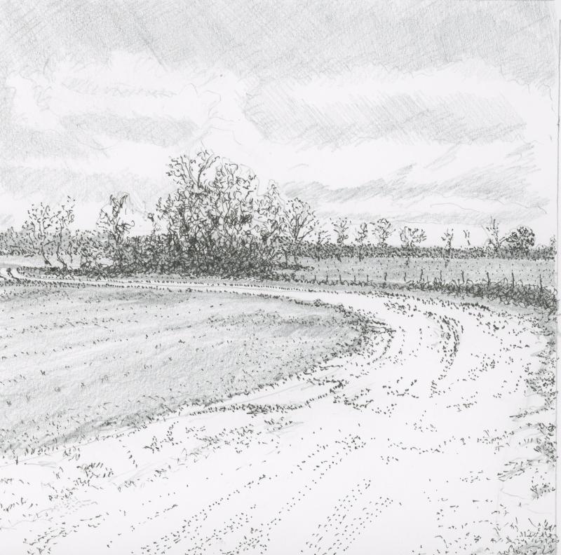 Outside Plains, Georgia (Drawing by Rick Cronin)