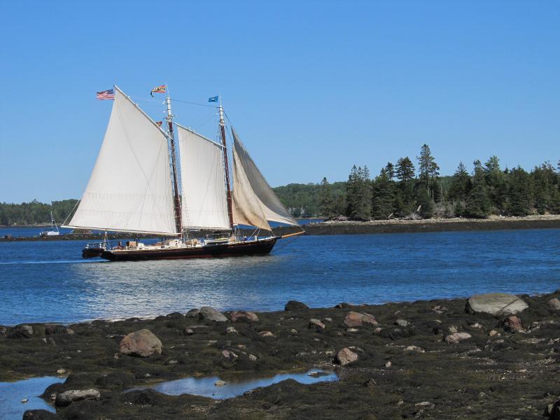 The J & E Riggin schooner is a familiar sight in Midcoast waters.  Photo by Kay Stephens