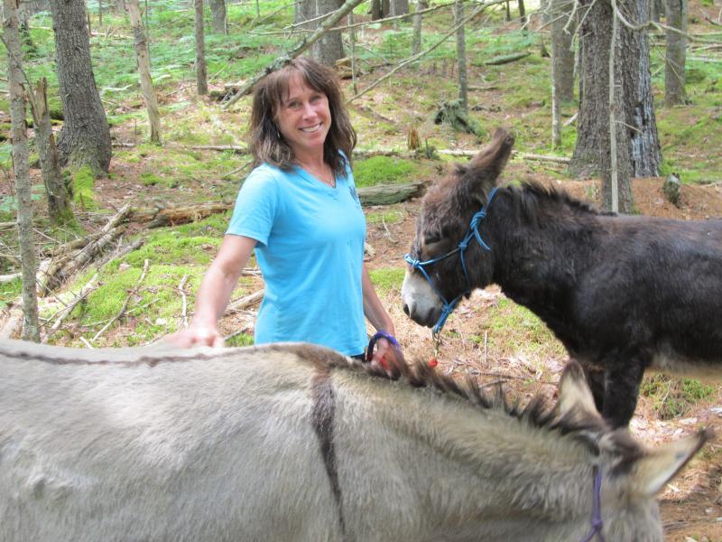 Rebecca Loveland owner of Downeast Donkey Walks with Kota and Ed. Photo by Kay Stephens