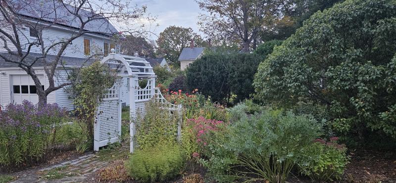 white arch gate in garden