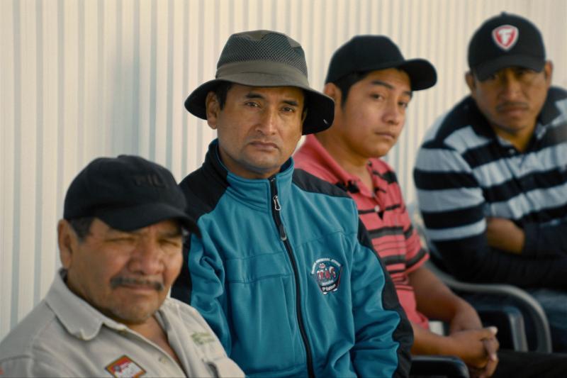four men look at camera
