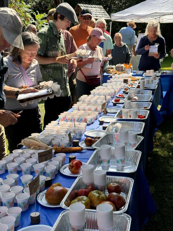 taste-testing table with crowd