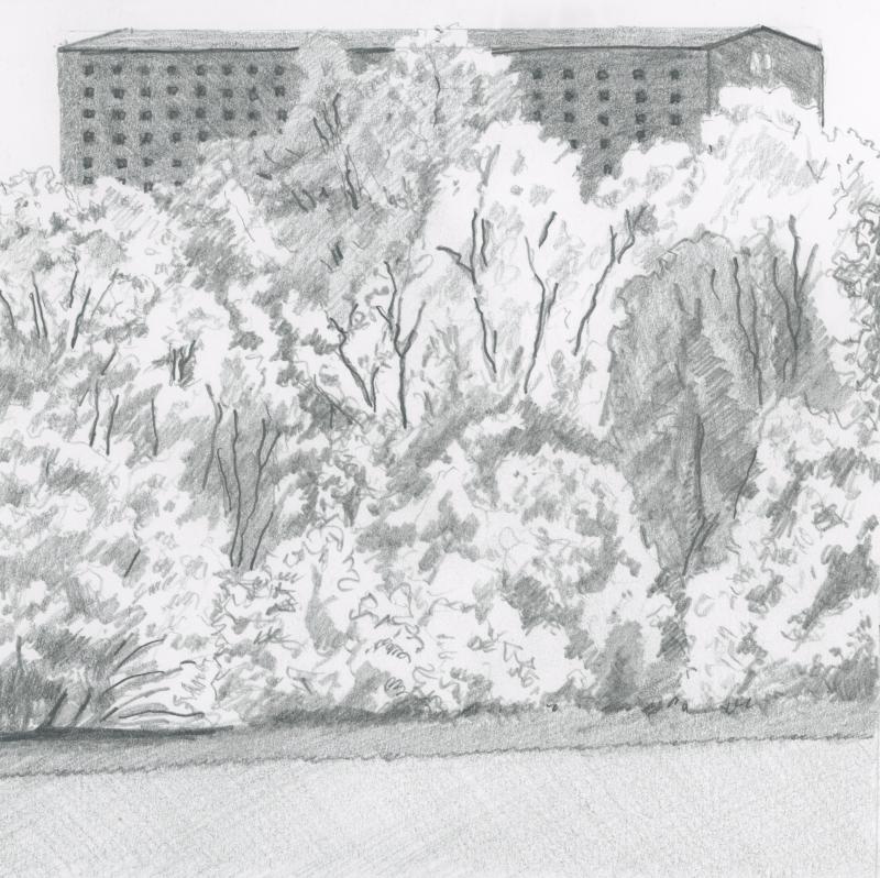 Wild Turkey Distillery, Kentucky. (Drawing by Rick Cronin)