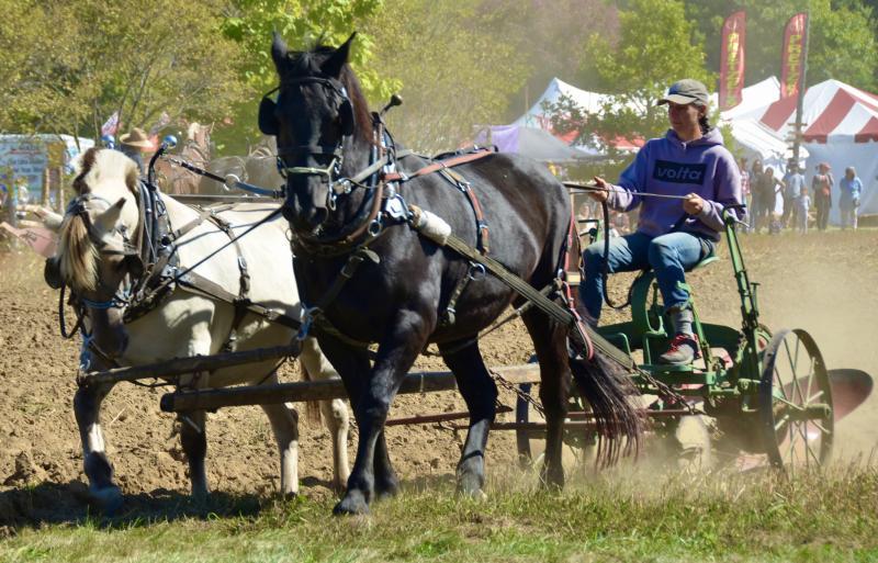 Common Ground Fair, 2025