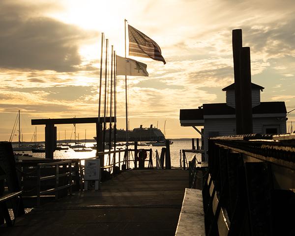 public landing with cruise ship in background
