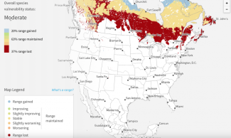 This possible range map shows where Boreal Chickadees could lose habitat with 1.5º Celsius warming. Map courtesy Audubon.
